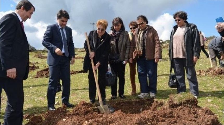 Belen&rsquo;de Bin 500 Fidan Dikildi