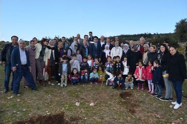 Belen’de Bin 500 Fidan Dikildi