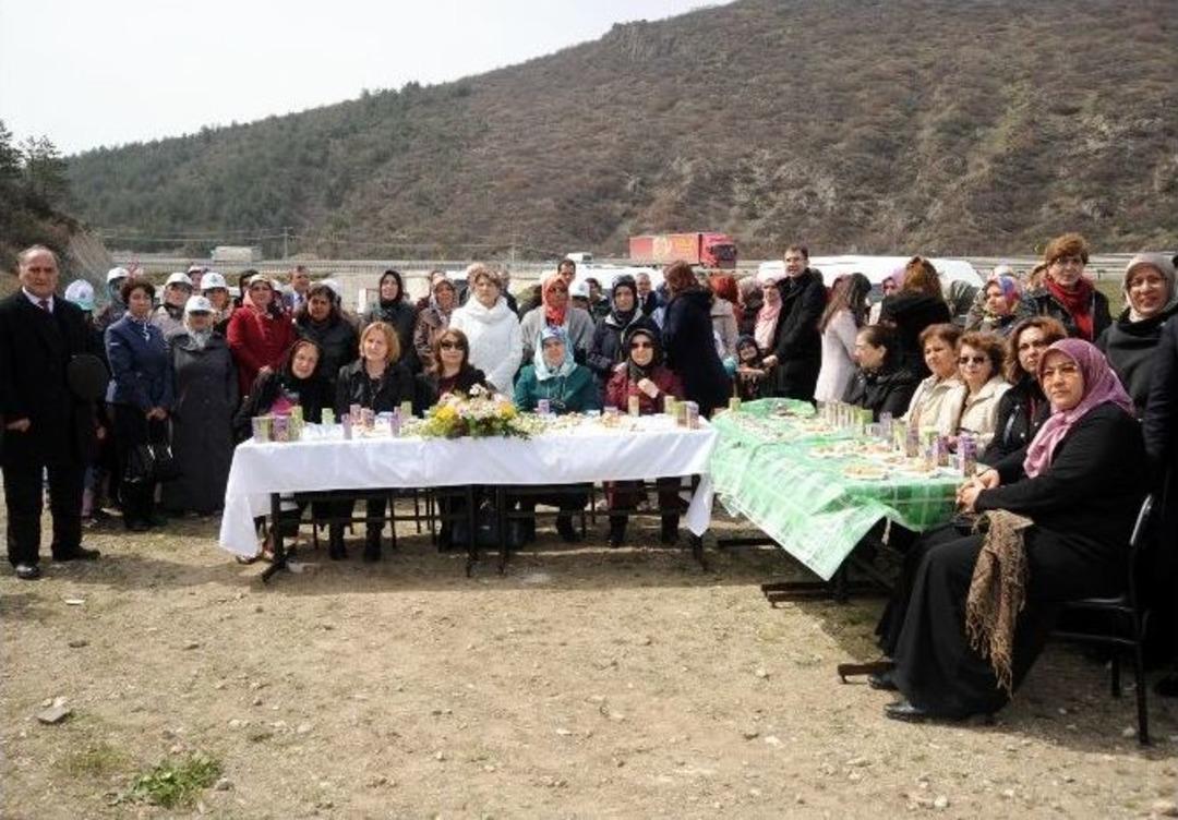 Bilecik&rsquo;te "bereket Ormanı"na 600 Fidan Dikimi Yapıldı