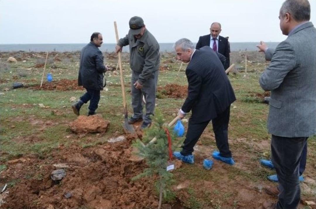 G&ouml;n&uuml;l El&ccedil;ileri Projesi Kapmasında Fidan Dikildi
