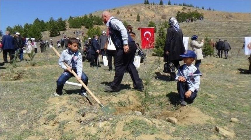 Kırıkkale&rsquo;de G&ouml;n&uuml;l El&ccedil;ileri 500 Fidanı Toprakla Buluşturdu