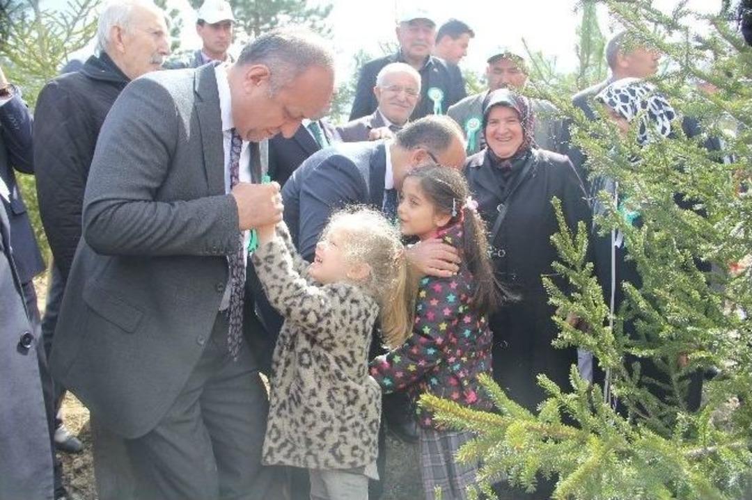 Kastamonu&rsquo;da &ldquo;bereket Ormanları&rdquo; Projesi Hayata Ge&ccedil;ti