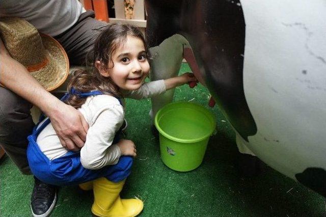 Ali Babanın Masal Çiftliği Minikleri Ağırlamaya Devam Ediyor 1