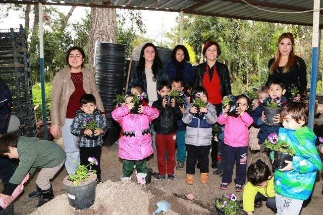 Minik Öğrenciler Orman Haftası’nda Çiçek Dikmeyi Öğrendi