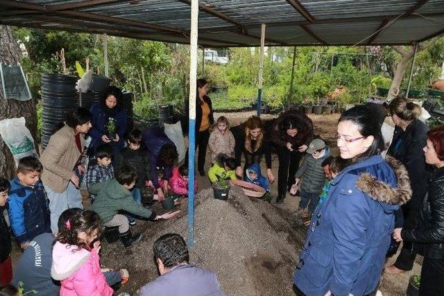 Minik Öğrenciler Orman Haftası’nda Çiçek Dikmeyi Öğrendi