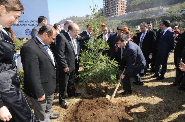 Trabzon’da Bereket Ormanı’na İlk Fidanlar Dikildi