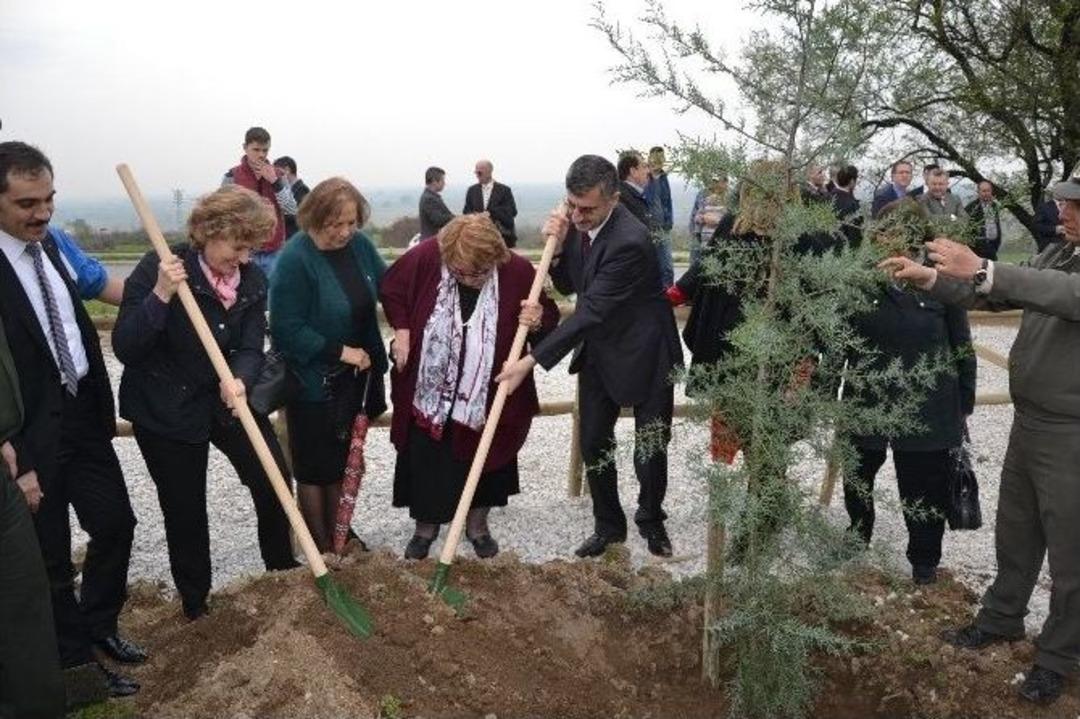 Manisa&rsquo;da G&ouml;n&uuml;l El&ccedil;ileri &lsquo;bereket Ormanı&rsquo; Oluşturdu
