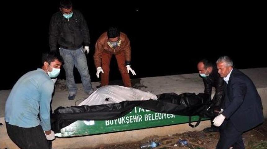 Denizde Erkek Cesedi Bulundu