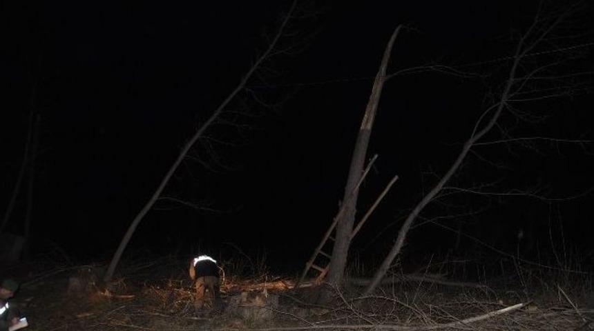 Kestiği Ağacın Altında Kalan İş&ccedil;i &Ouml;ld&uuml;