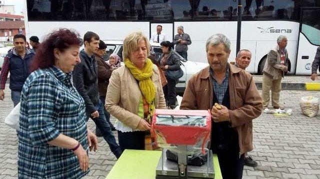 Turistlerden Germencik İncir Pazarına Yoğun İlgi