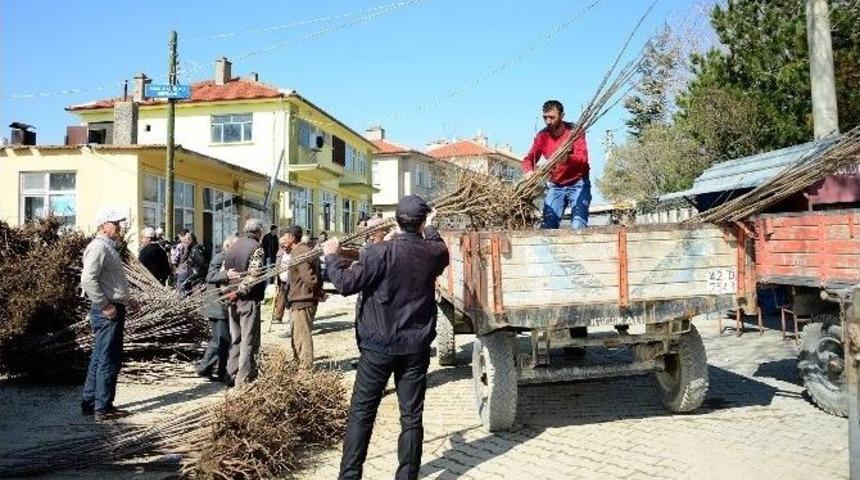 B&uuml;y&uuml;kşehir Belediyesi&rsquo;nden T&uuml;m İl&ccedil;elere Tarımsal Destek