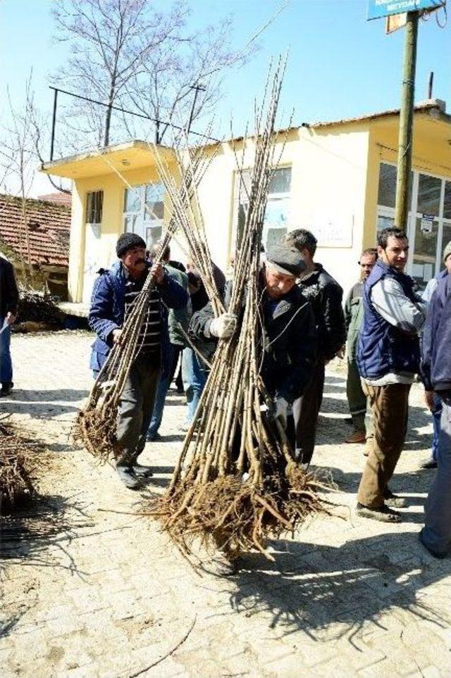 Büyükşehir Belediyesi’nden Tüm İlçelere Tarımsal Destek