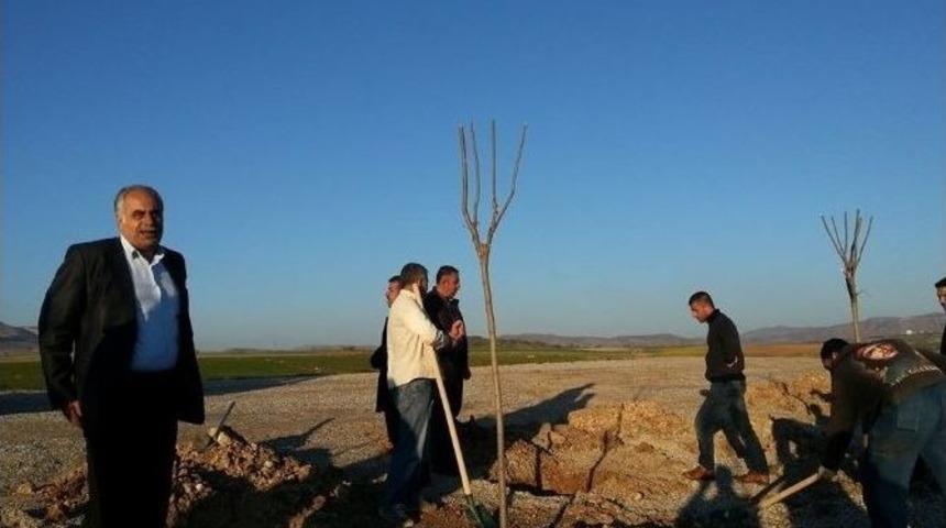 Gercüş Belediyesi’nden Fidan Dikim Etkinliği