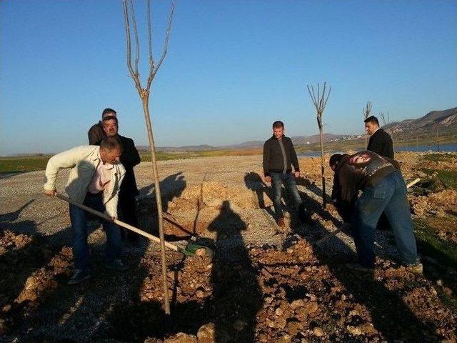 Gercüş Belediyesi’nden Fidan Dikim Etkinliği