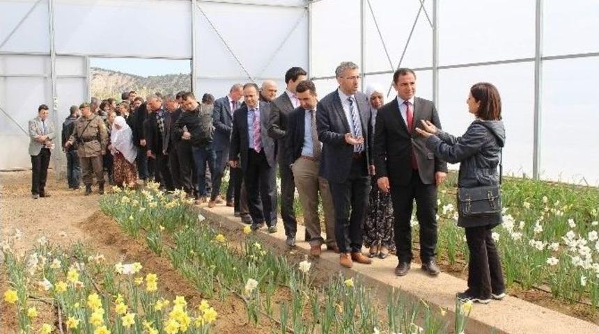 Eskişehir&rsquo;de Nergis &Ccedil;i&ccedil;eği Projesi Tanıtım Toplantısı