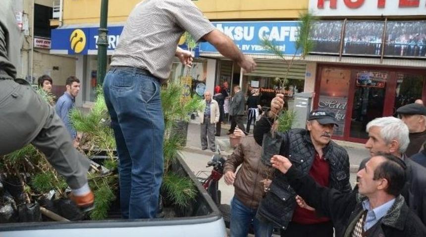 Fatsa’da 2 Bin 500 Fidan Dağıtıldı