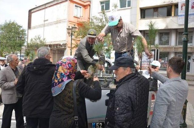 Fatsa’da 2 Bin 500 Fidan Dağıtıldı