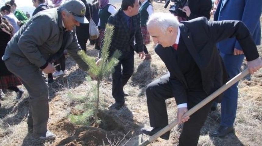 10 Bin Fidan Toprakla Buluştu