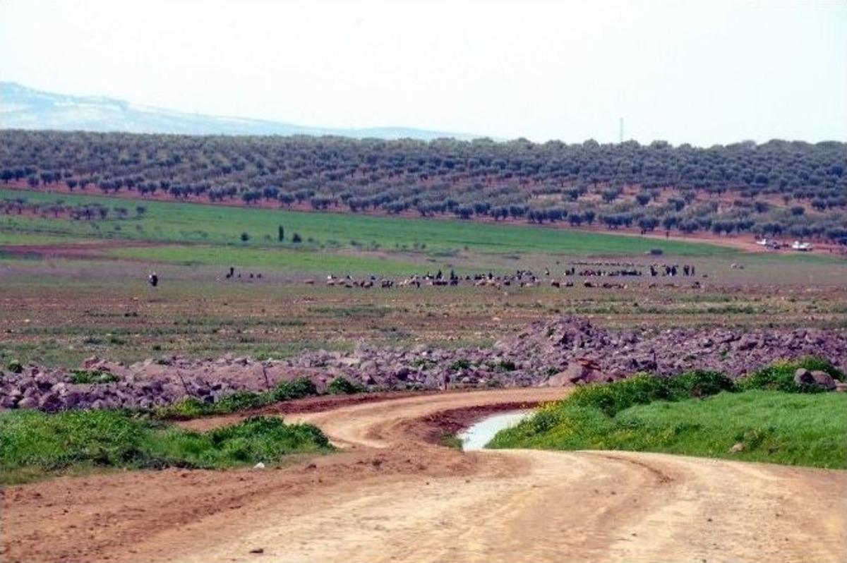 T&uuml;rkiye-suriye Sınırında M&uuml;lteci Yoğunluğu