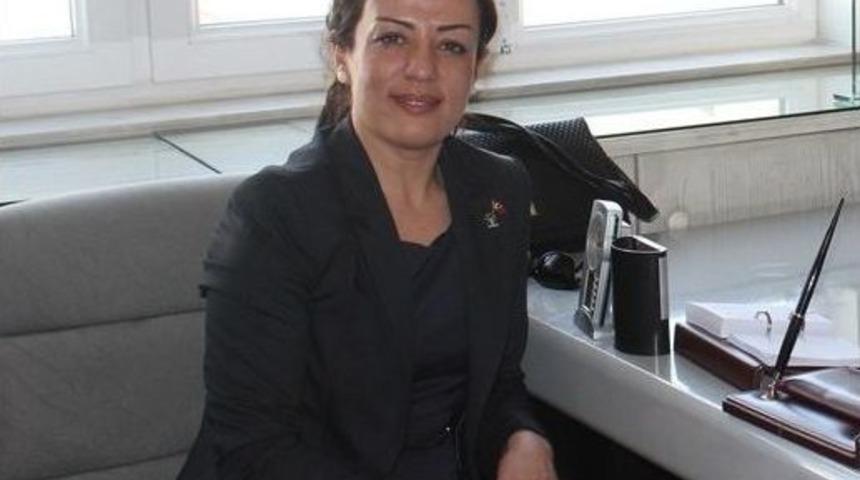 Ak Parti Aday Adayı Aras, İ&ccedil; G&uuml;venlik Paketi&rsquo;ni Değerlendirdi