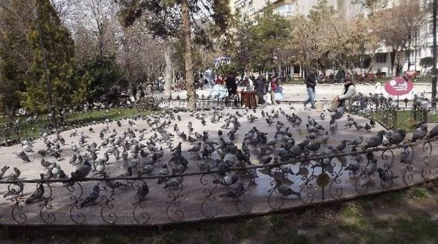 Ortak Dertleri Karınlarını Doyurmak