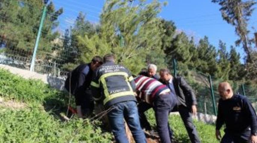 Mardin İtfaiyesinden Ağa&ccedil; Dikimi