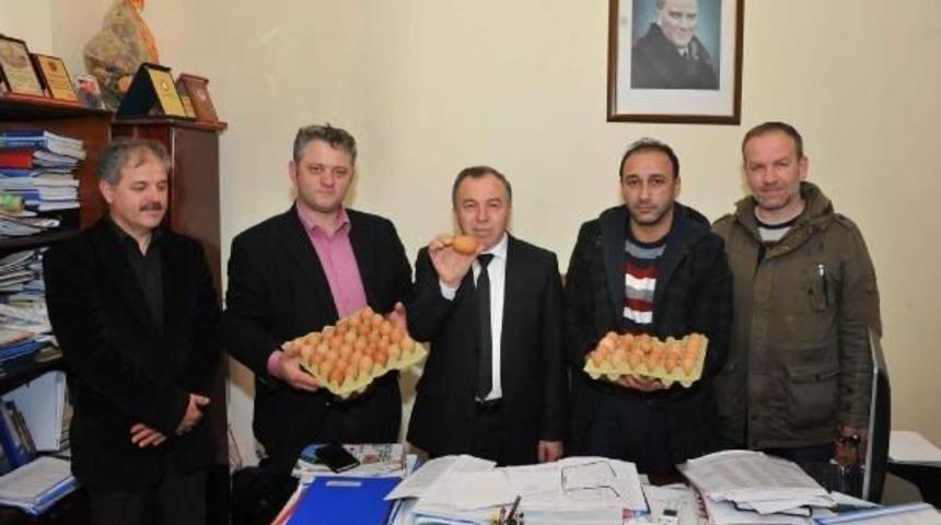 Samsun'da Belediye Destekli Doğal Yumurtacılıkta Başarılı Sonu&ccedil;