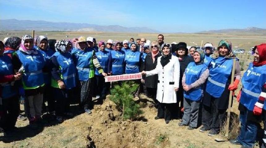 &Ouml;zgecan Anısına Kırşehir&rsquo;De Fidan Dikildi