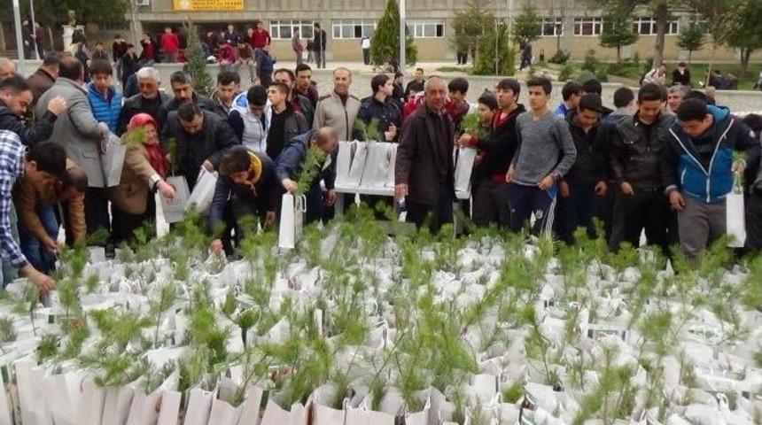 Kırıkkale&rsquo;de 2 Bin Fidan Dağıtıldı