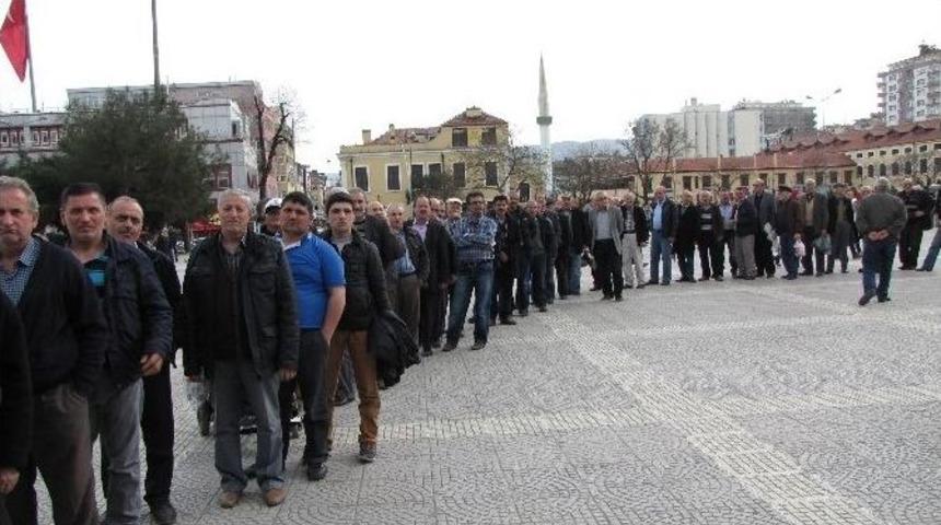 Samsun&rsquo;da 2 Bin Fıstık &Ccedil;amı Fidanı Dağıtıldı