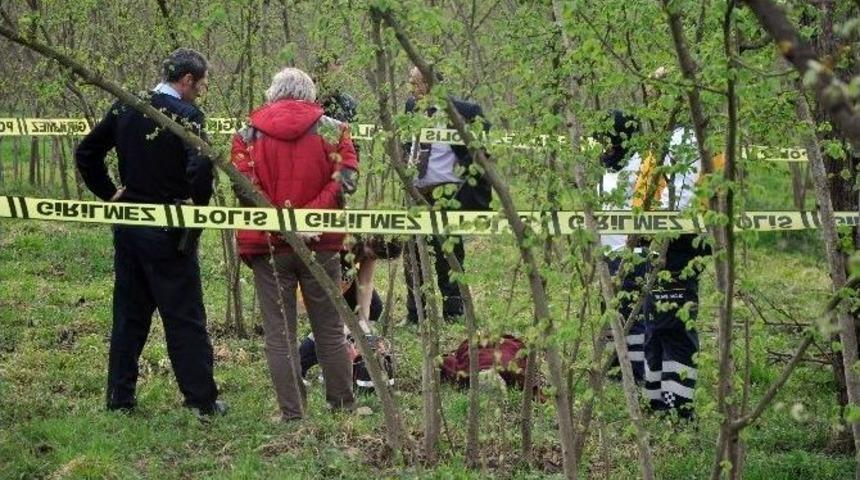 Fındık Bah&ccedil;esinde &Ouml;l&uuml; Olarak Bulundu
