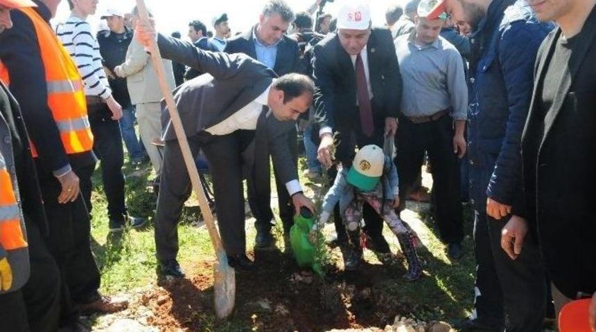 Karaköprü Belediyesi’nden “bereket Ormanı” Projesine Destek