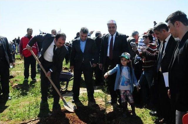 Karaköprü Belediyesi’nden “bereket Ormanı” Projesine Destek