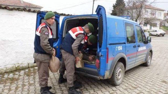 Malkara'da Tarihi Eser Operasyonu: 6 Gözaltı