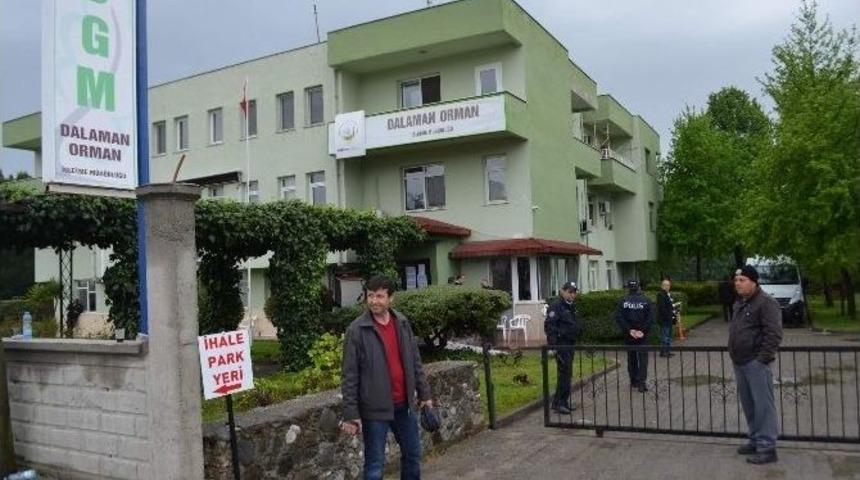 Dalaman&rsquo;daki Koyların İhalesi Sorunsuz Olarak Tamamlandı