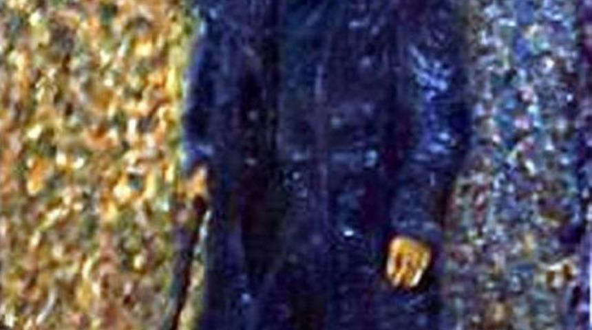 Hollanda, Van Gogh'un Tokat'ta Bulunan Eserini Istedi