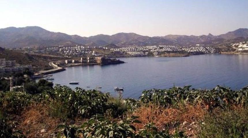 Tilkicik Koyu'ndaki Arazinin Ihalesini Palmali Grup, Kazandı