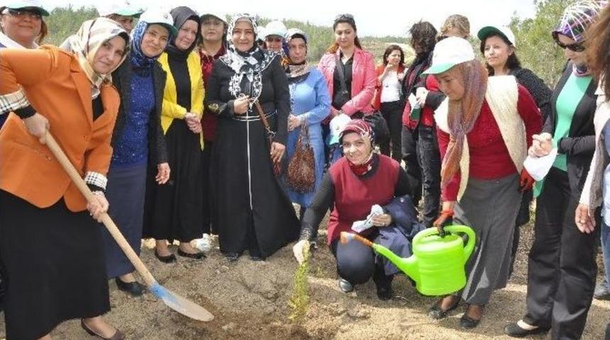 Erdemli&rsquo;de Bereket Ormanı Kuruldu