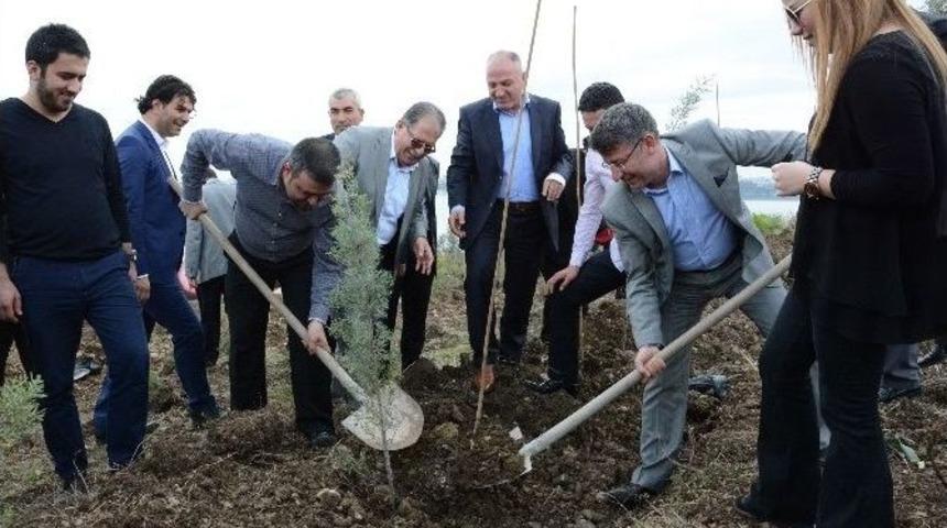 Ak Parti "yeşil Bir &Uuml;lke" Hedefi İ&ccedil;in Fidan Dikti