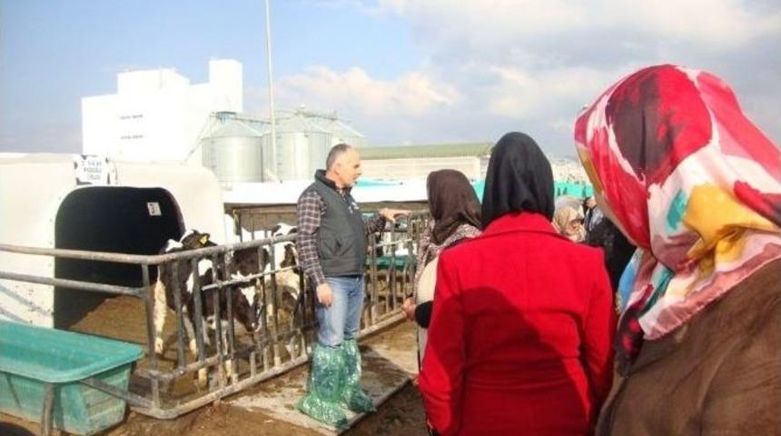 Aksaray&rsquo;da Kadın &Ccedil;ift&ccedil;i Eğitim Programı Devam Ediyor