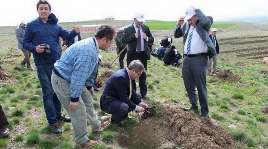 Sungurlu&rsquo;da Ormancılık Haftası Etkinlikleri