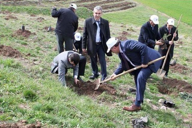 Sungurlu’da Ormancılık Haftası Etkinlikleri