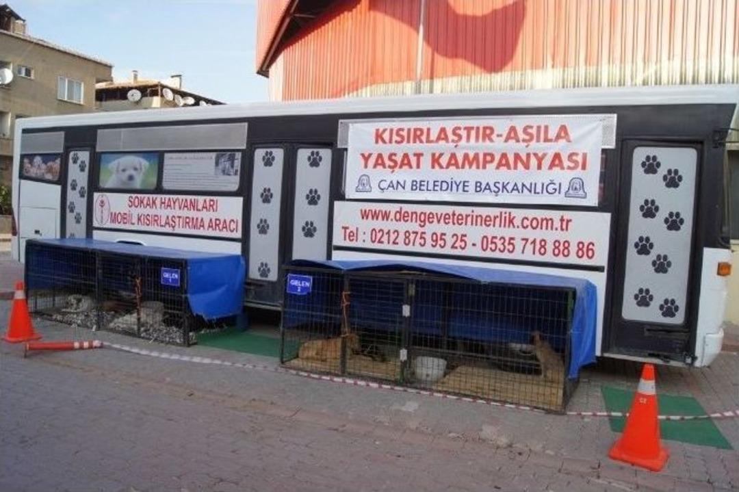 &Ccedil;an&rsquo;da Sokak Hayvanlarını Kısırlaştırma &Ccedil;alışması