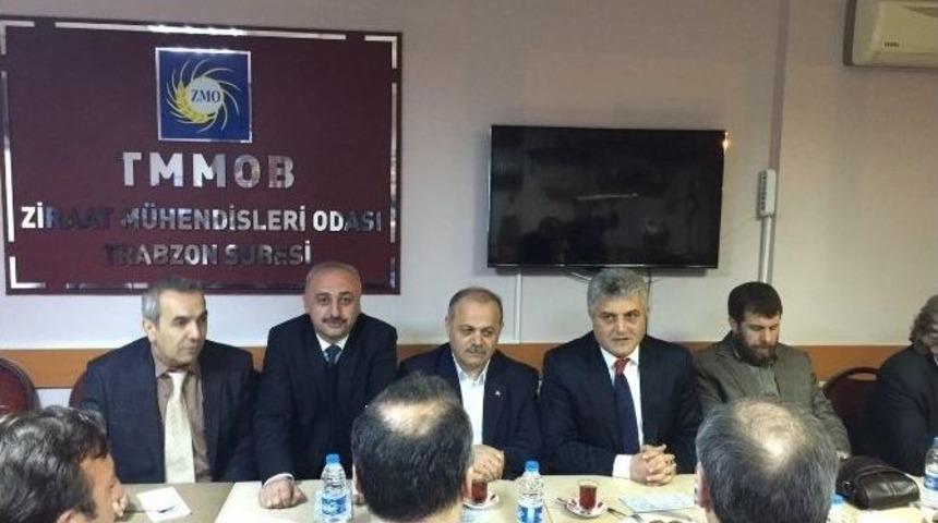 G&uuml;nnar Teferruatlara Takılmak İstemiyor