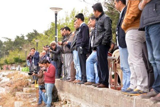 Kadın Cesedi Sanıldı Ağaç Gövdesi Çıktı