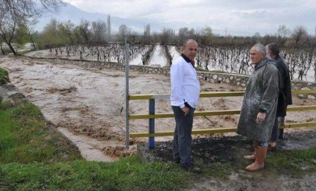 Denizli'de Dereler Taştı, Evleri Su Bastı, Tarım Arazileri Zarar Gördü