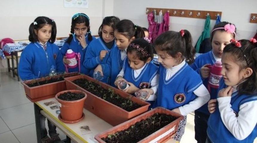 Elazığ&rsquo;da 15 Bin Sevgi &Ccedil;i&ccedil;eği Tohumu Kampanyası