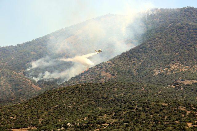 Tunceli'deki orman yangınına havadan ve karadan müdahale ediliyor