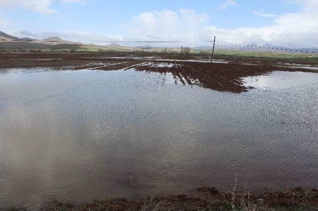 Taşan Dere Vatandaşı Mahsur Bıraktı, Ekili Alanlar Sular Altında Kaldı