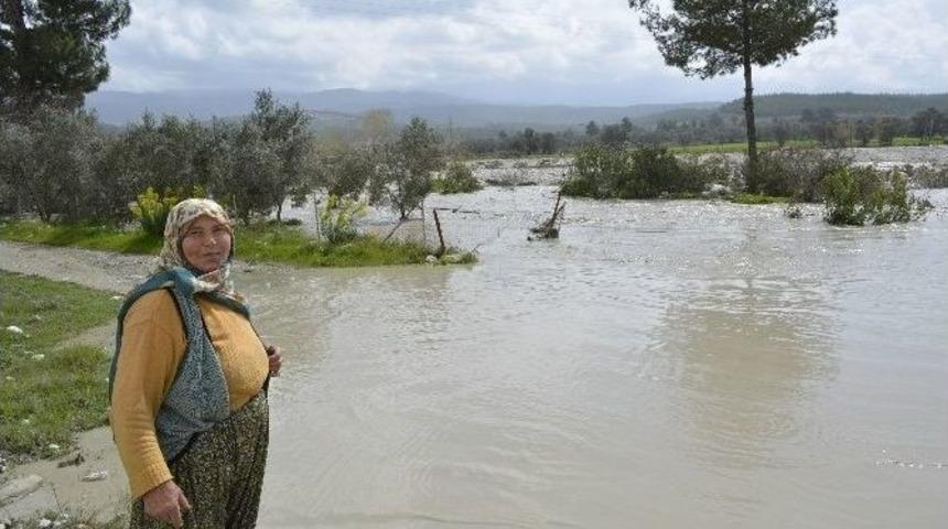 Seydikemer Selle Boğuştu